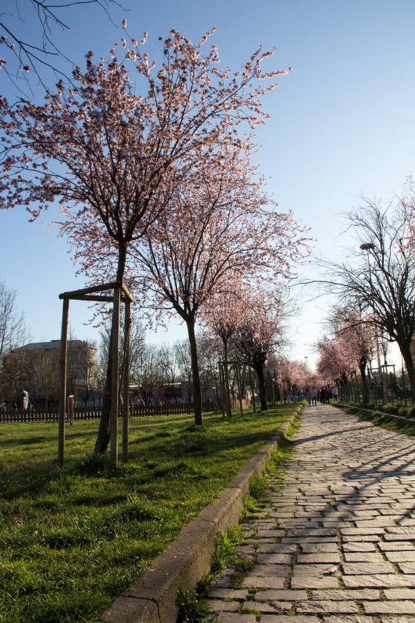Amami Lägenhet Milano Exteriör bild